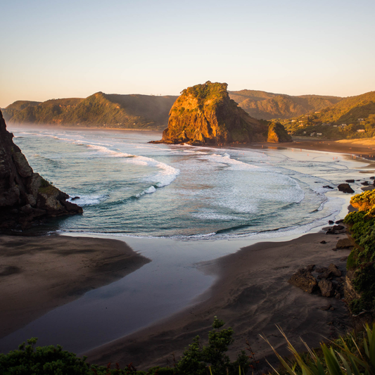 Wild Piha - Soy Wax Melt