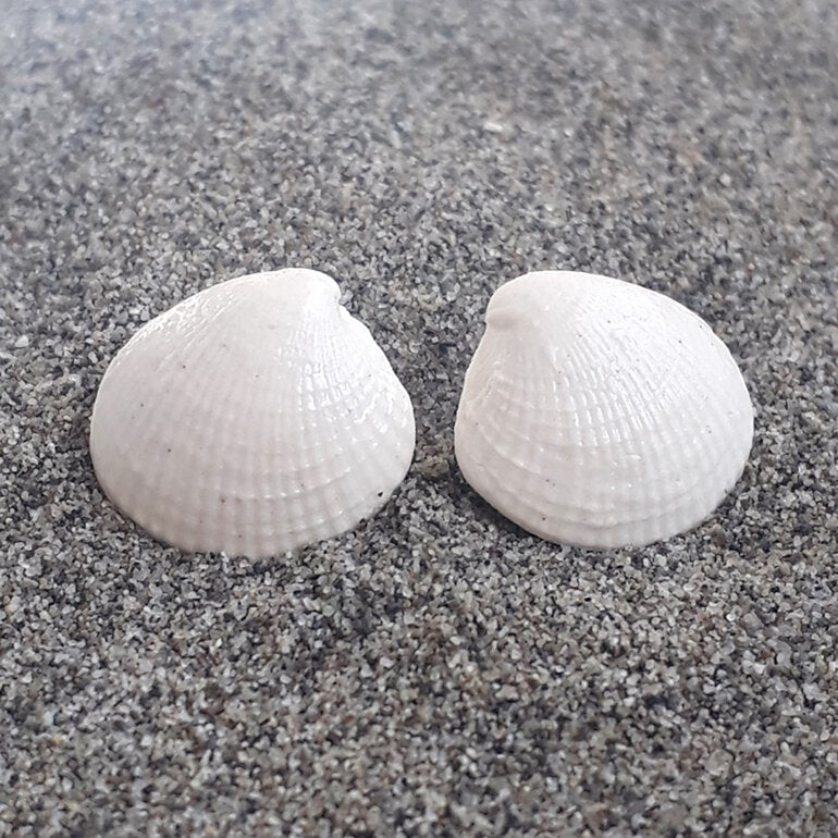 Ceramic Seashell Stud Earring